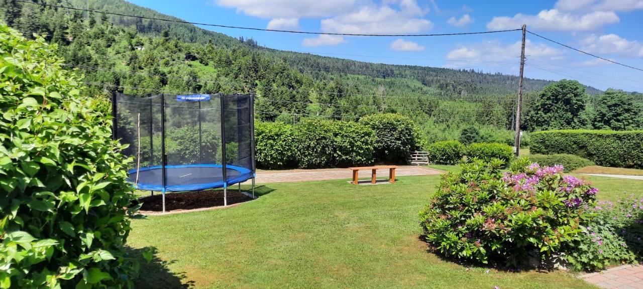 Gerbépal Chalet Les Marmottons Sauna Pool Table, Nintendo, Petanque المظهر الخارجي الصورة
